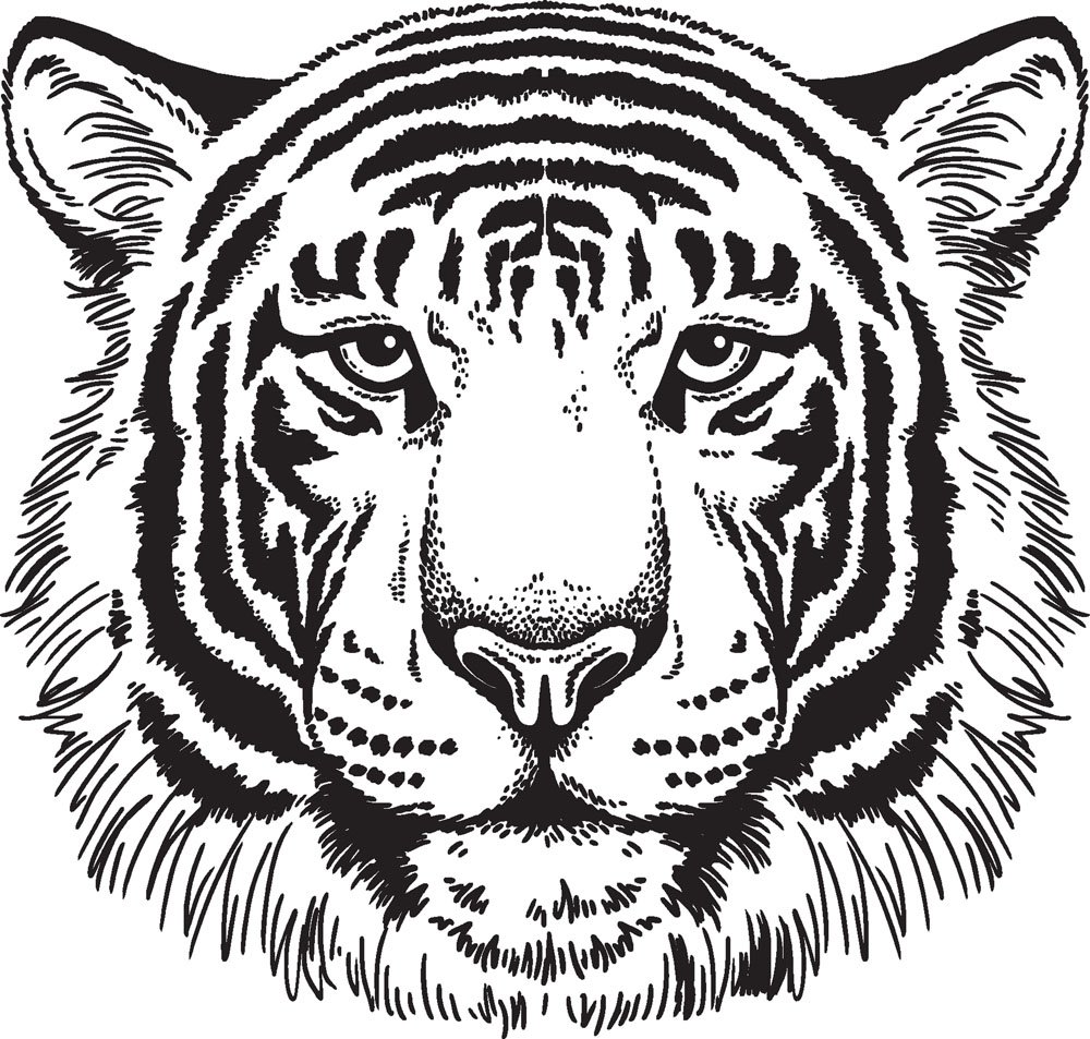 Голова тигра для выжигания