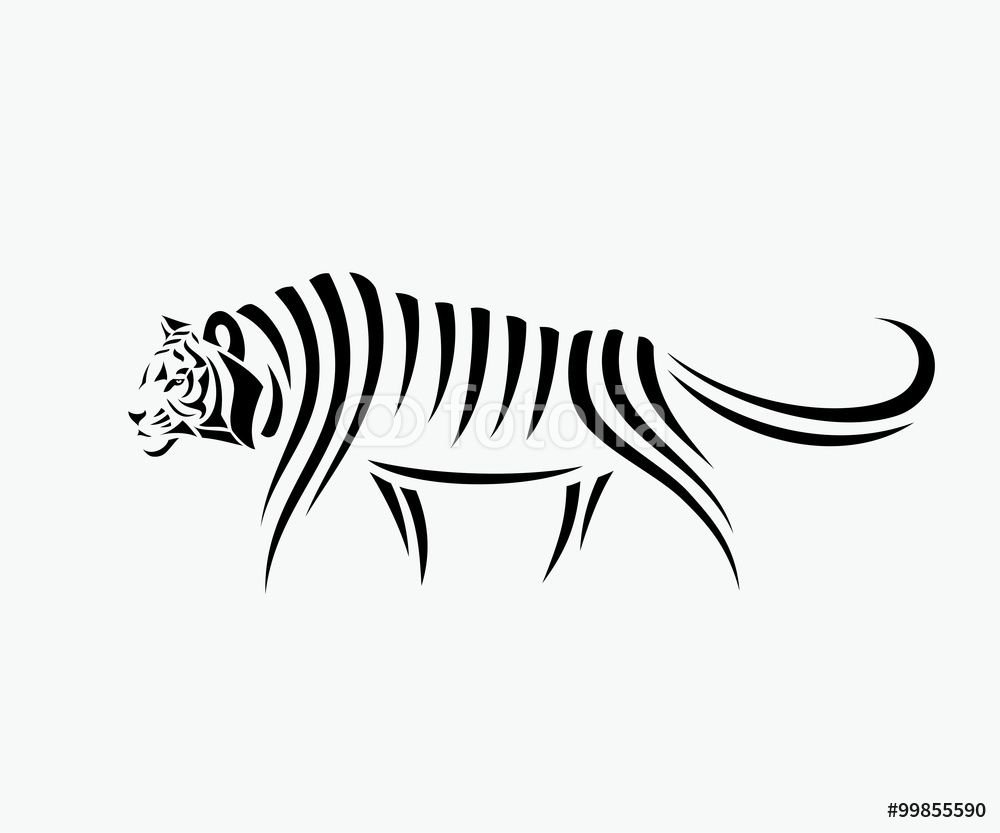 Тигр схематично