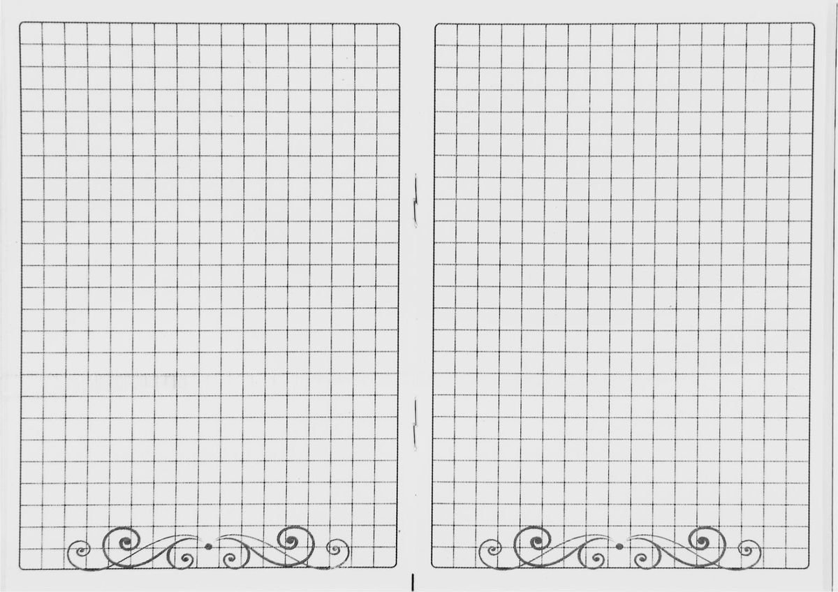 Блокнот в клетку