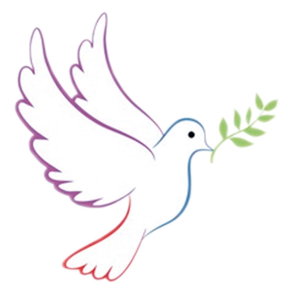 Голубь рисунок