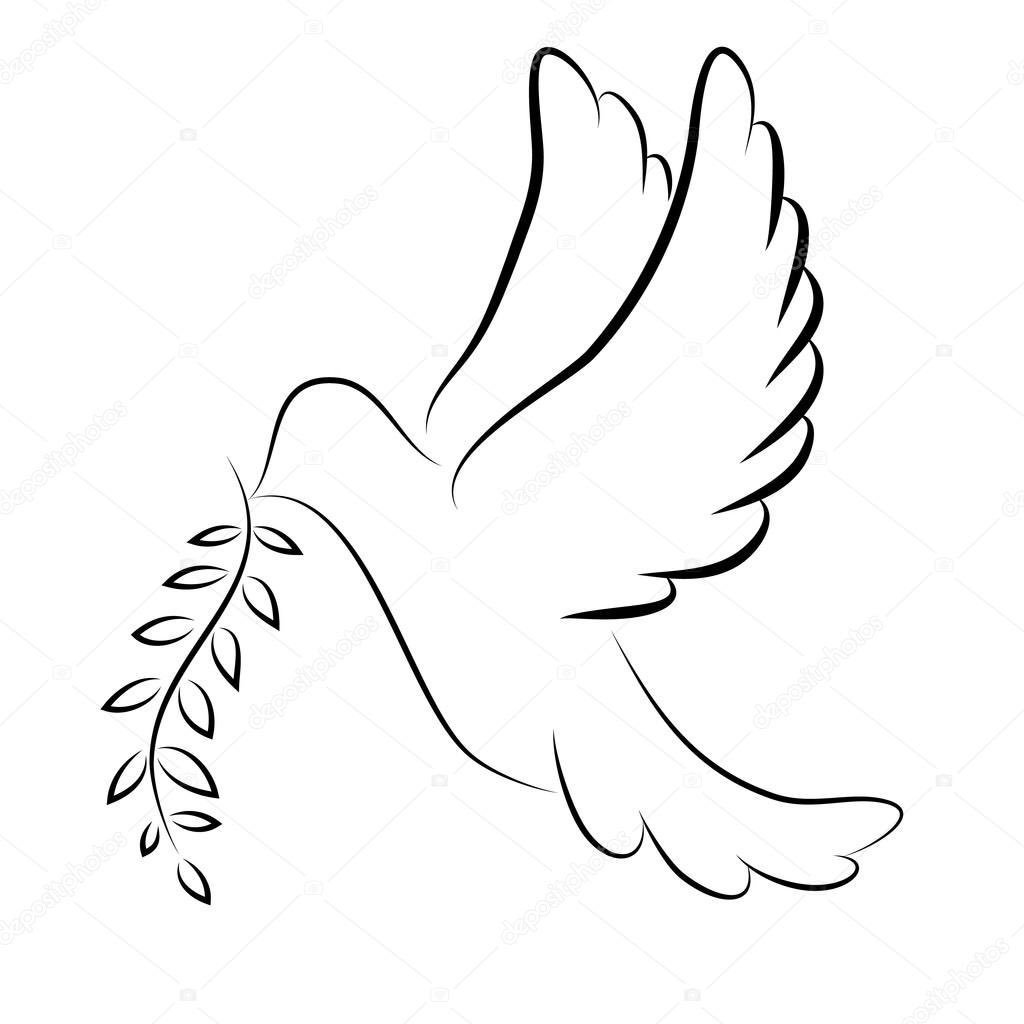 Белый голубь с оливковой ветвью