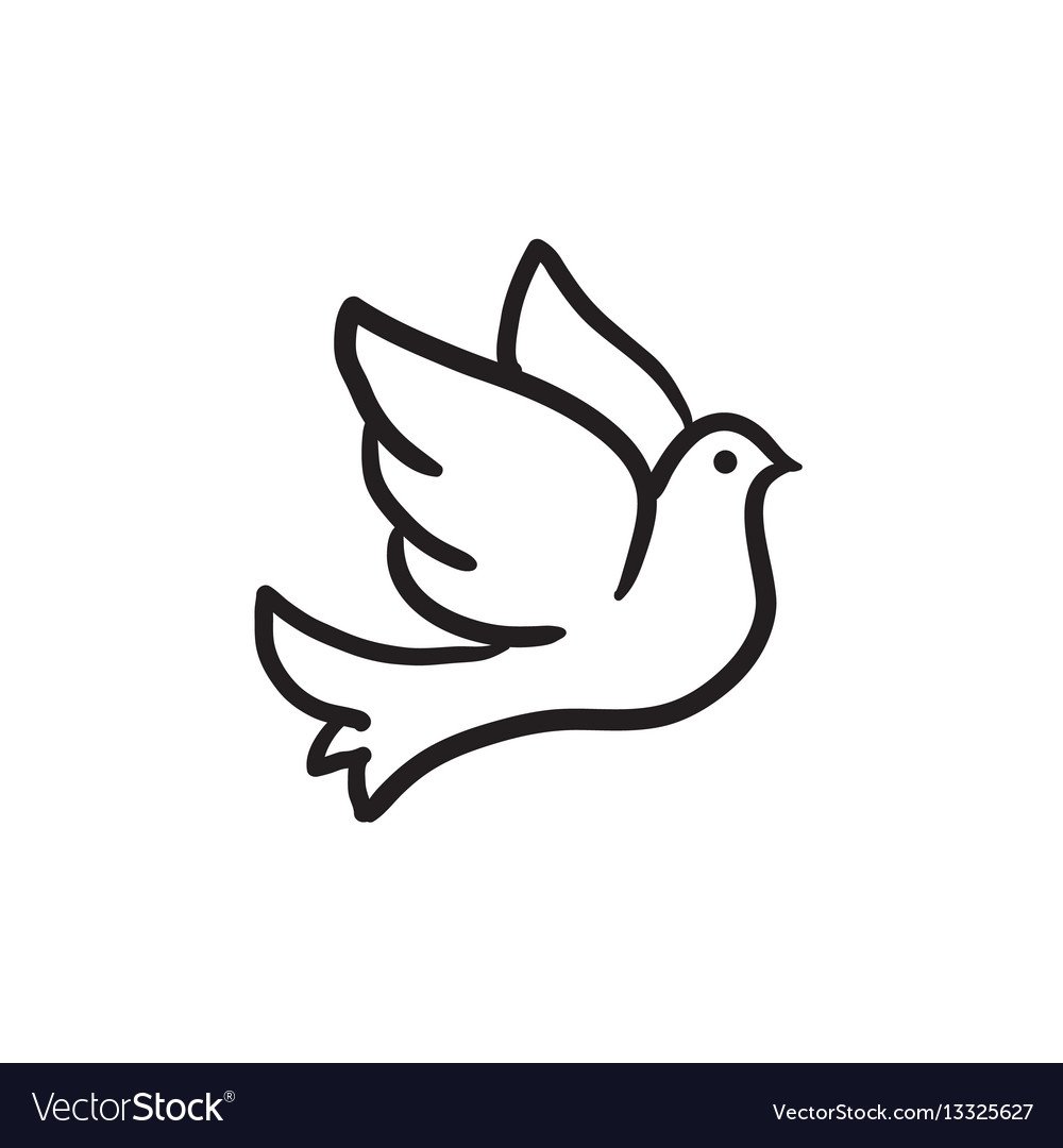 Голубь вектор