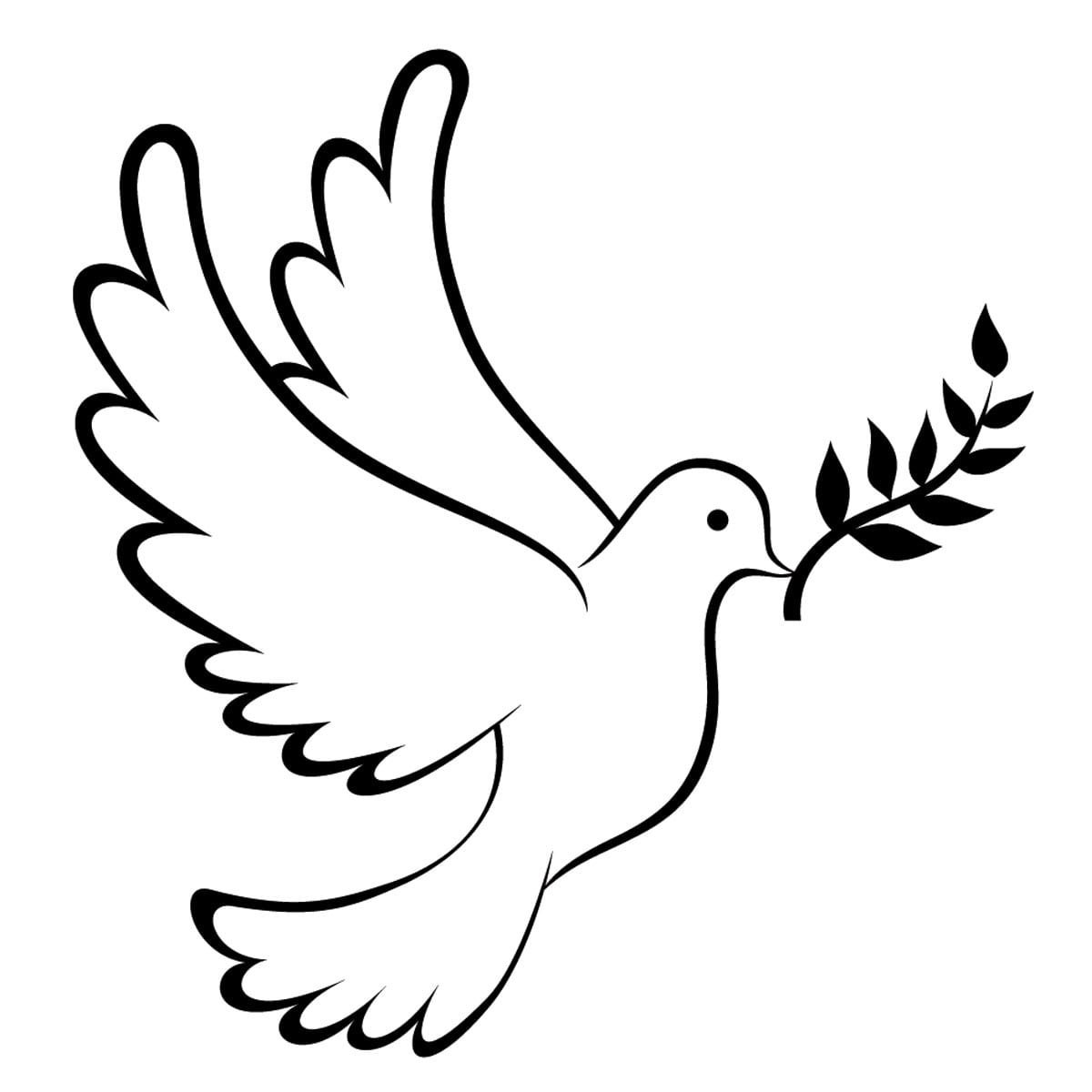 Голубь с веточкой трафарет