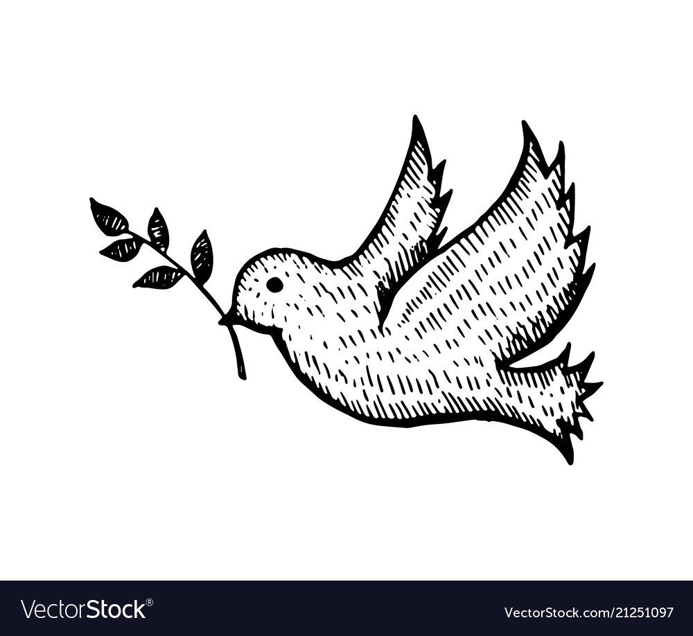 Голубь с веточкой контур