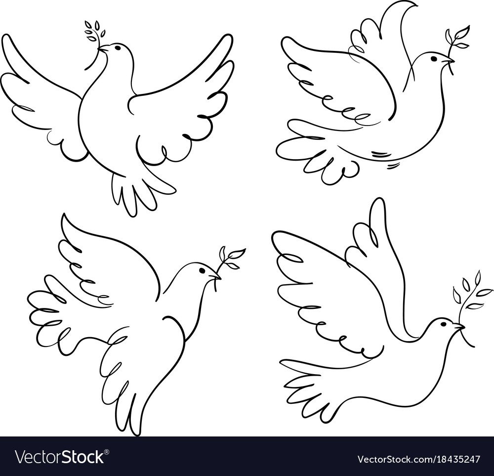 Очертания белого голубя