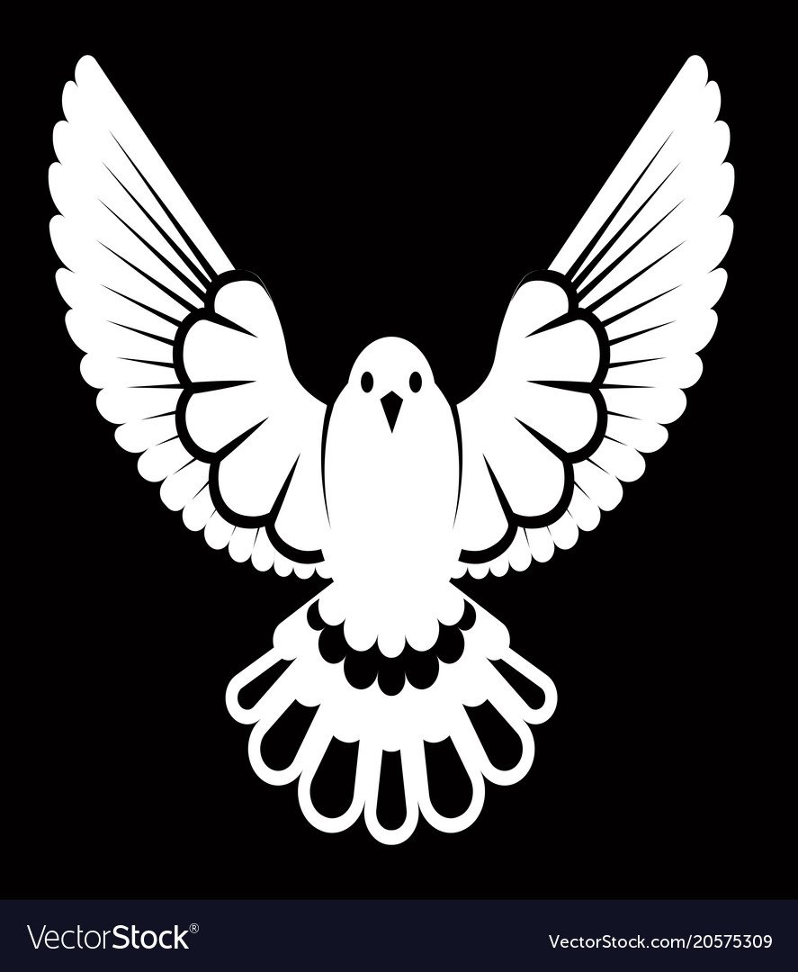 Голубь с веточкой контур