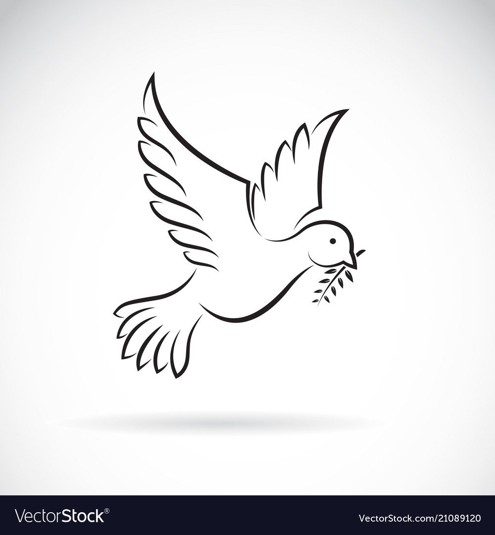 Голубь с веточкой эскиз