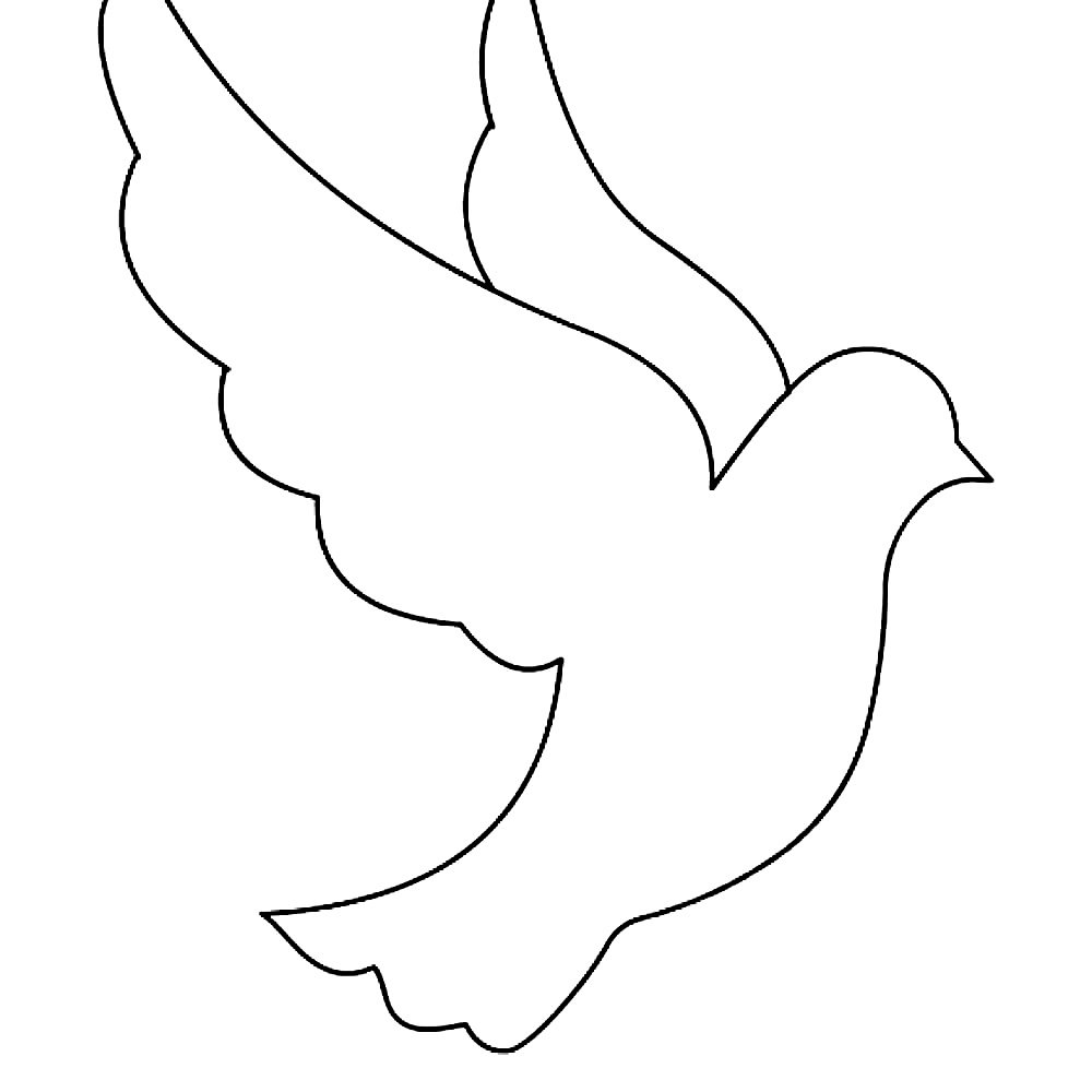 Голубь с веткой контур