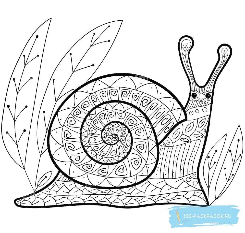 Стилизация формы улитка