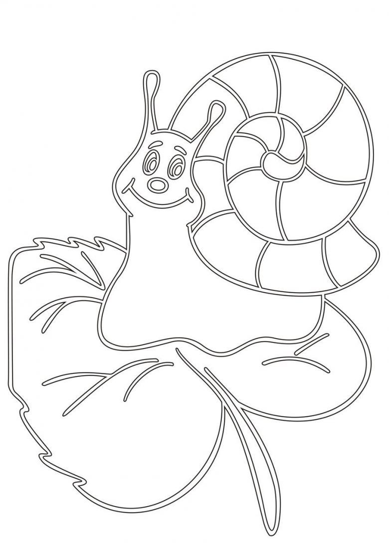 Улитка раскраска