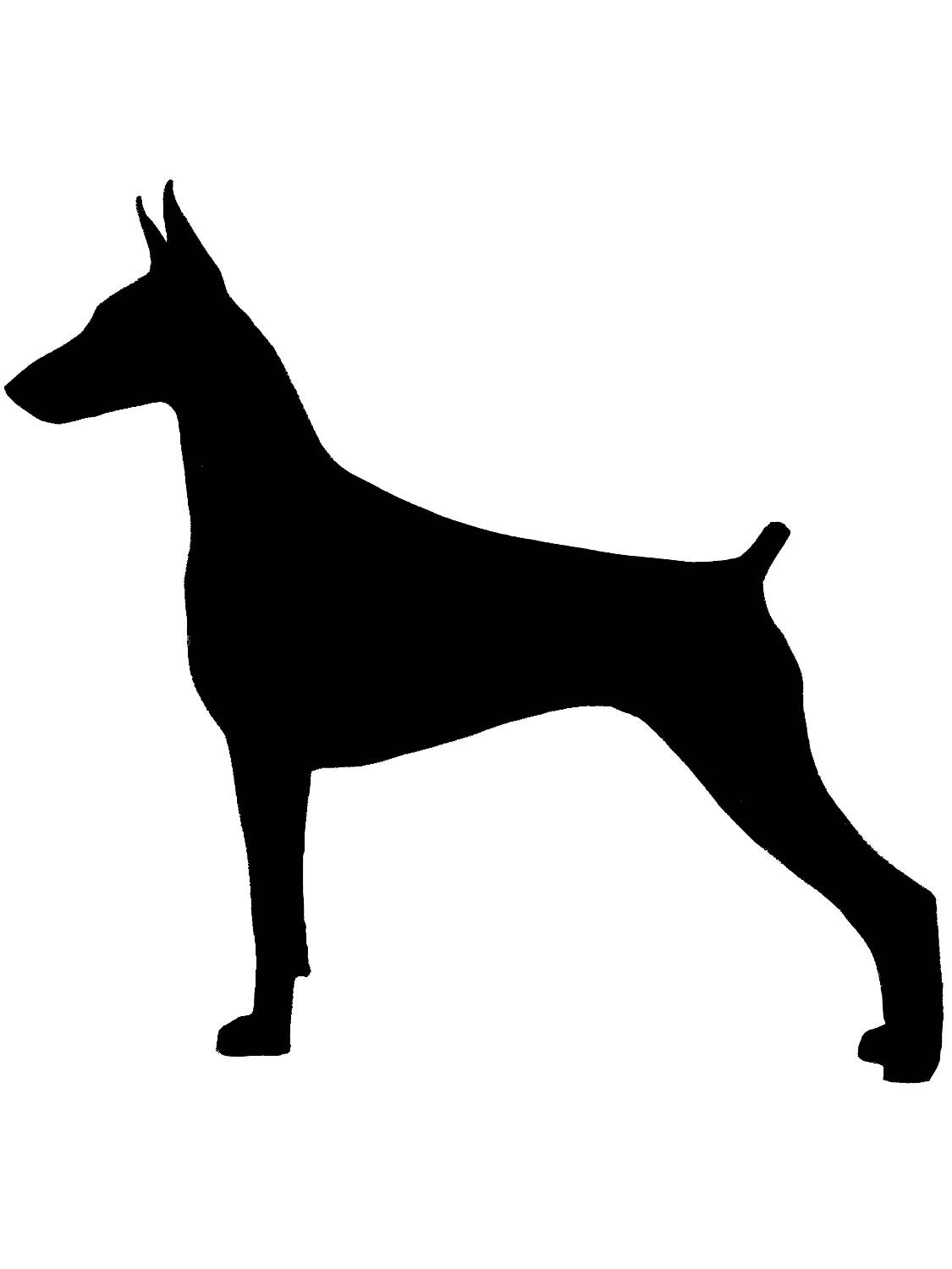 Контур собаки добермана