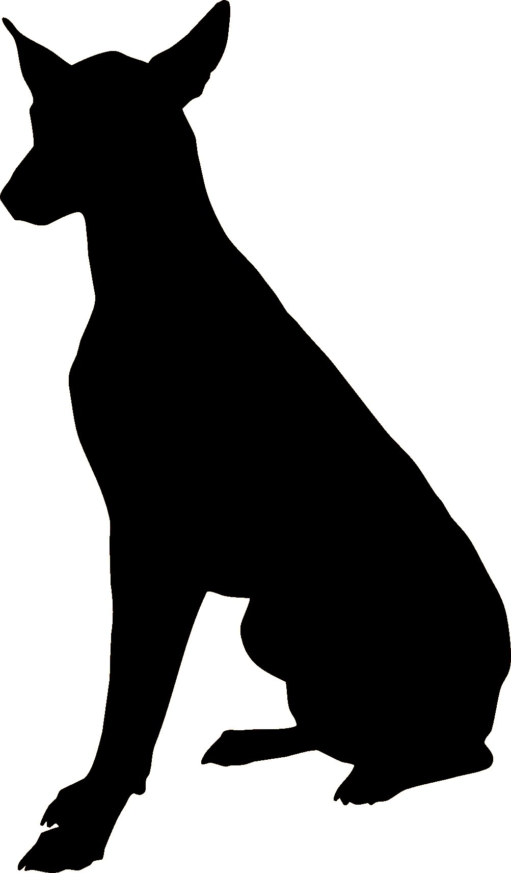 Сердце собаки Доберман