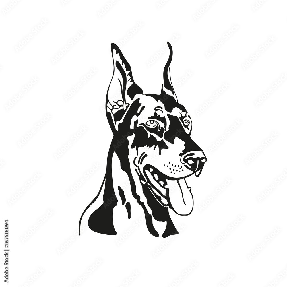 Силуэт добермана