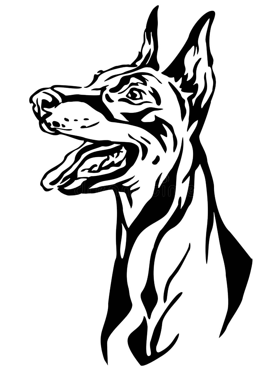 Силуэт морды добермана