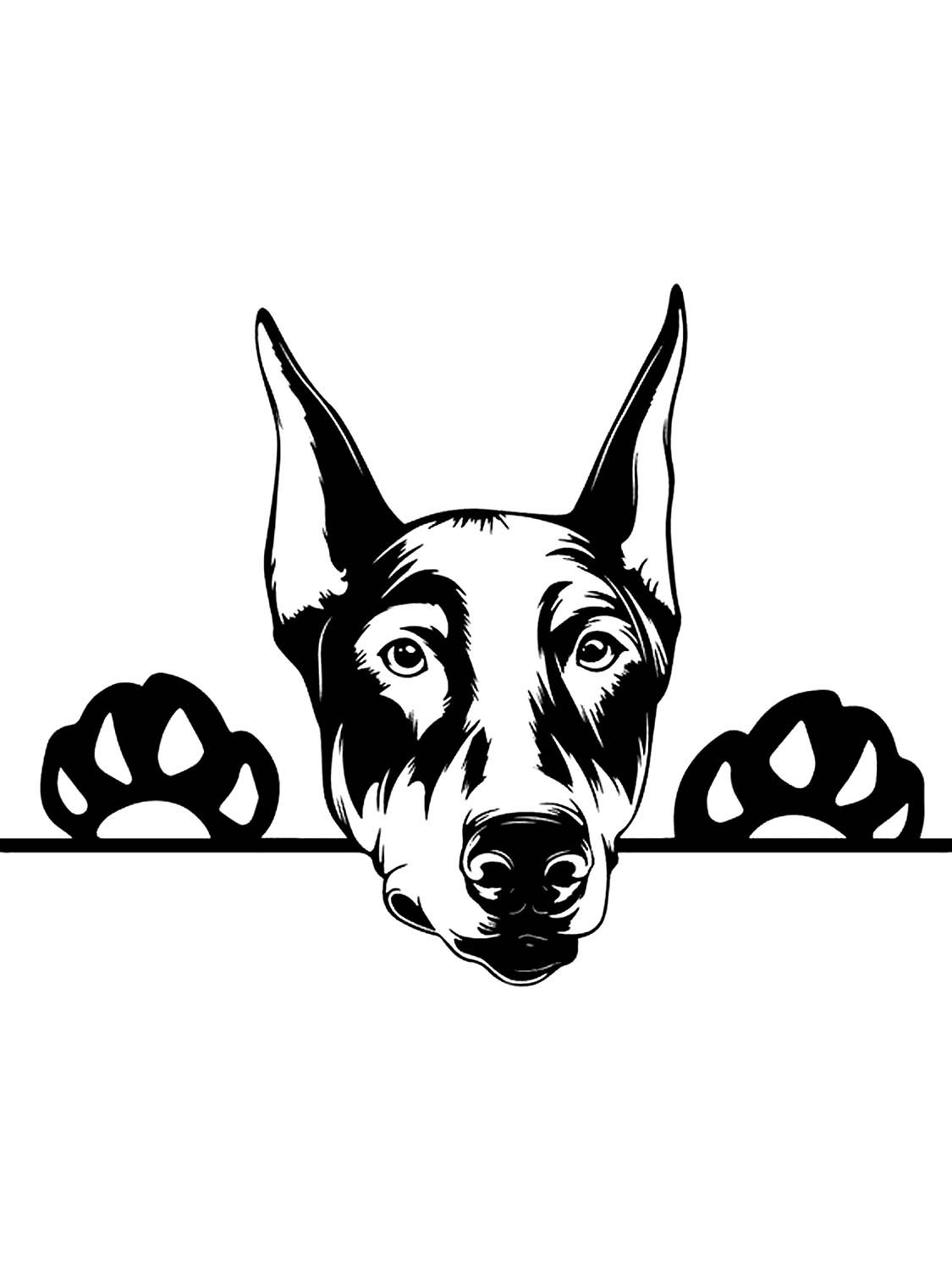 Трафарет добермана