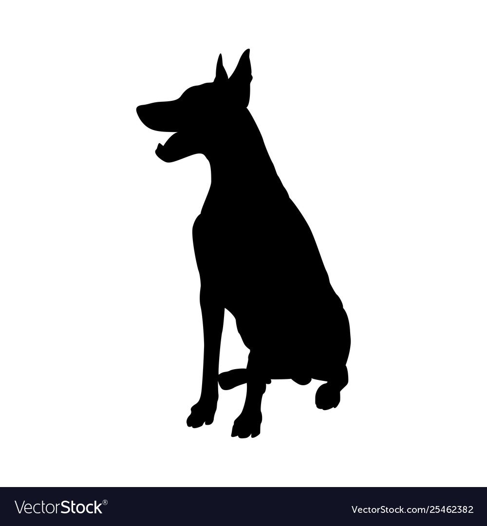 Эскиз Доберман на черном фоне