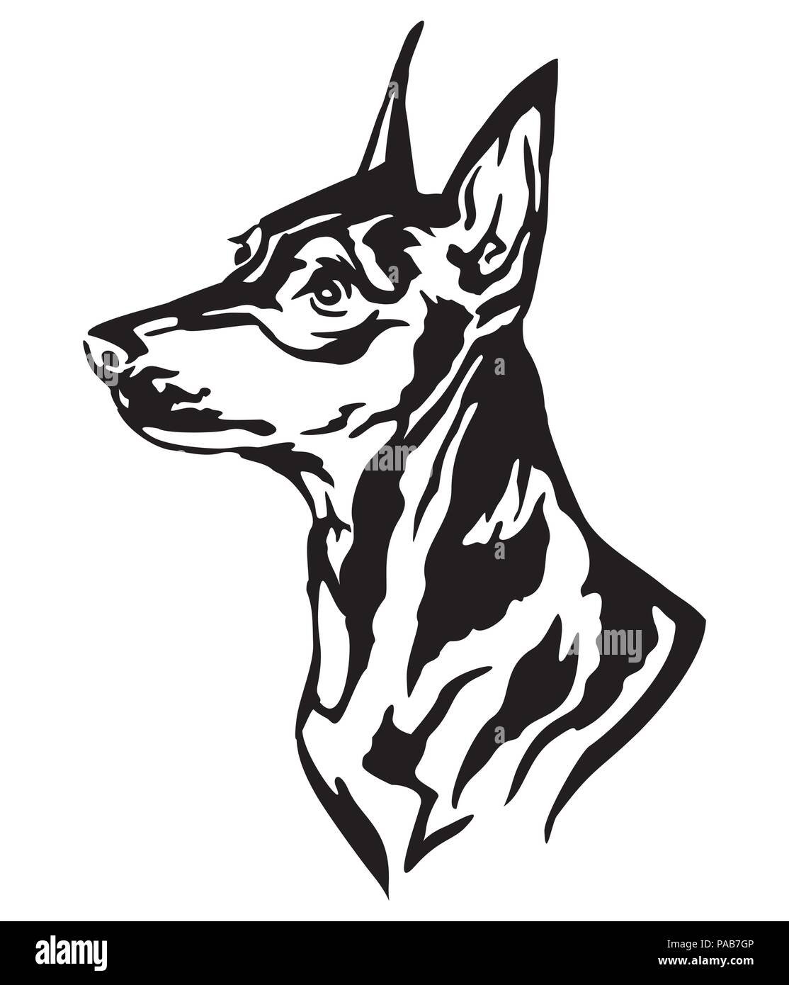 Силуэт добермана голова