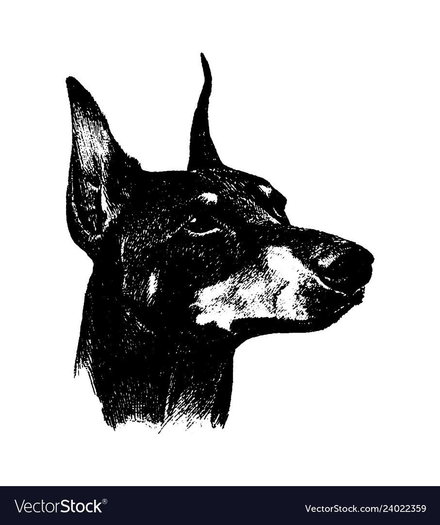 Тату Доберман лайнворк