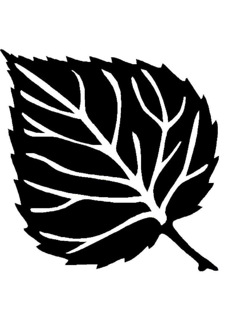 Березовый лист вектор