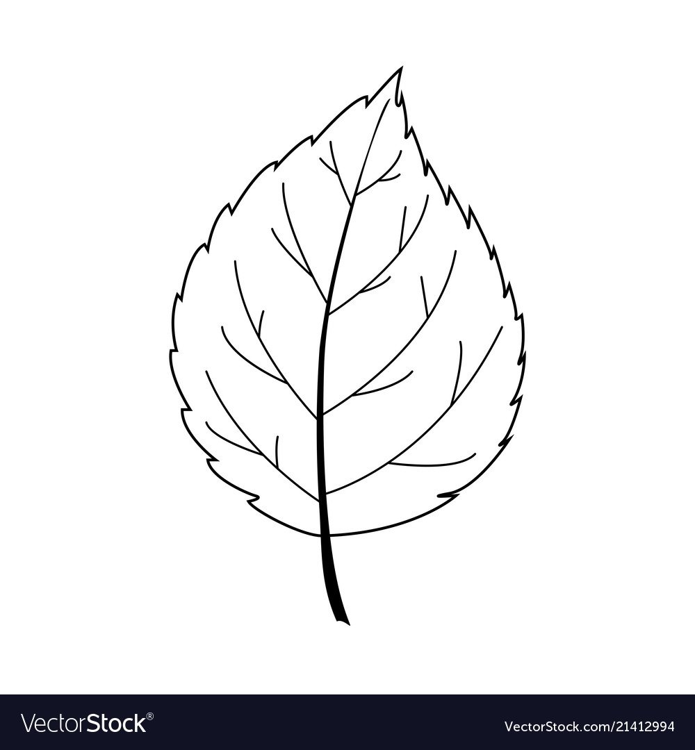 Лист осины трафарет