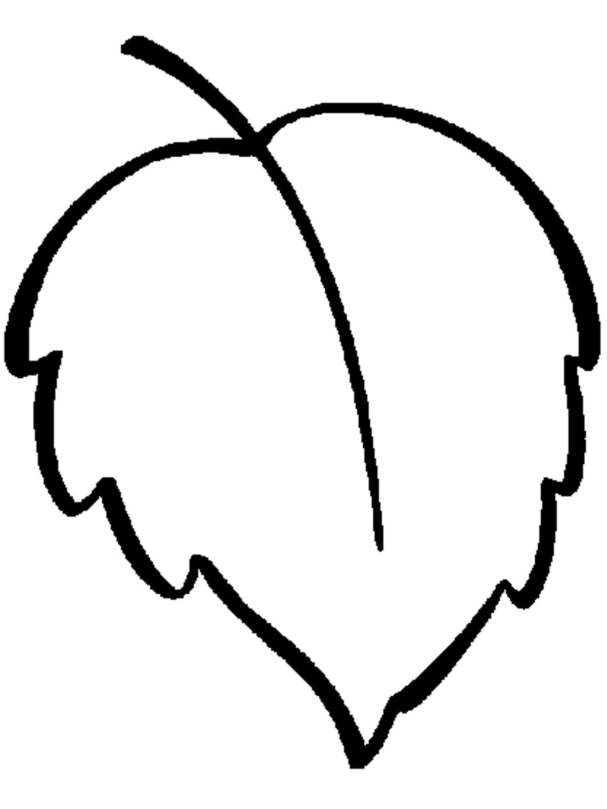 Березовый лист вектор