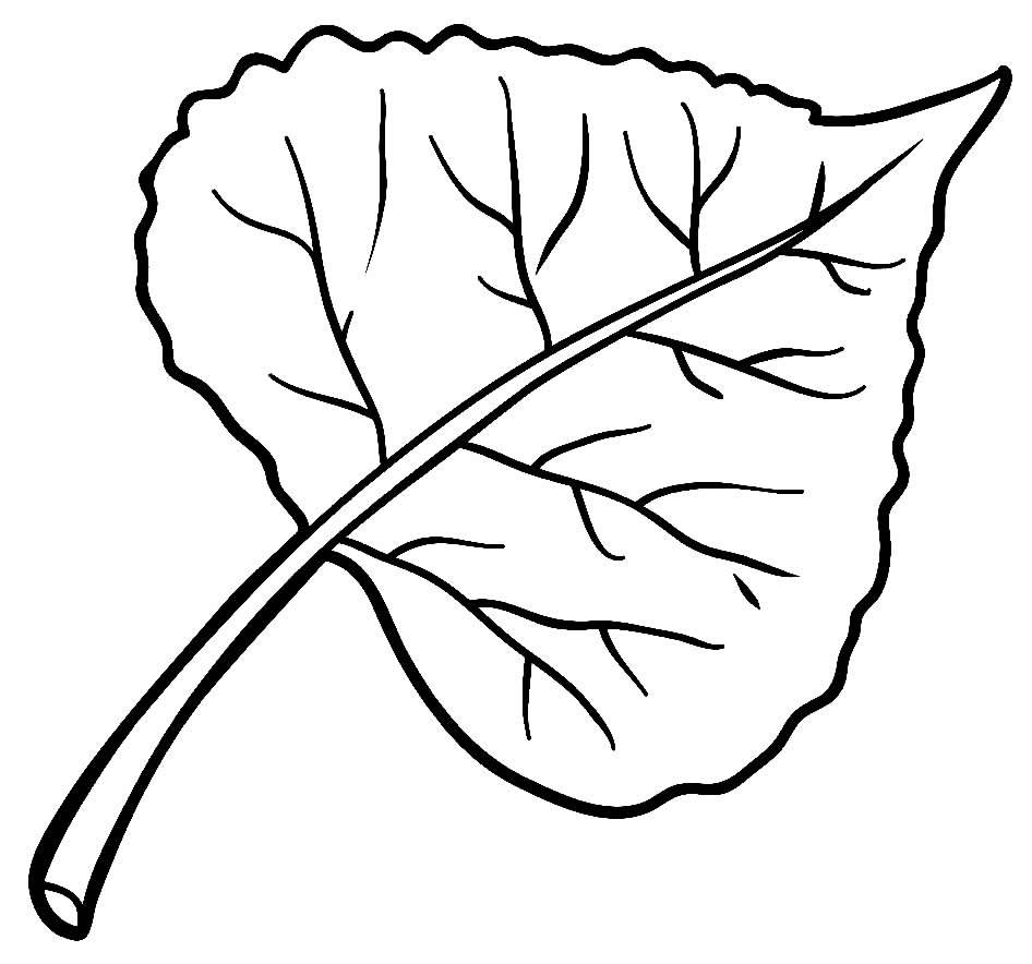 Березовый лист