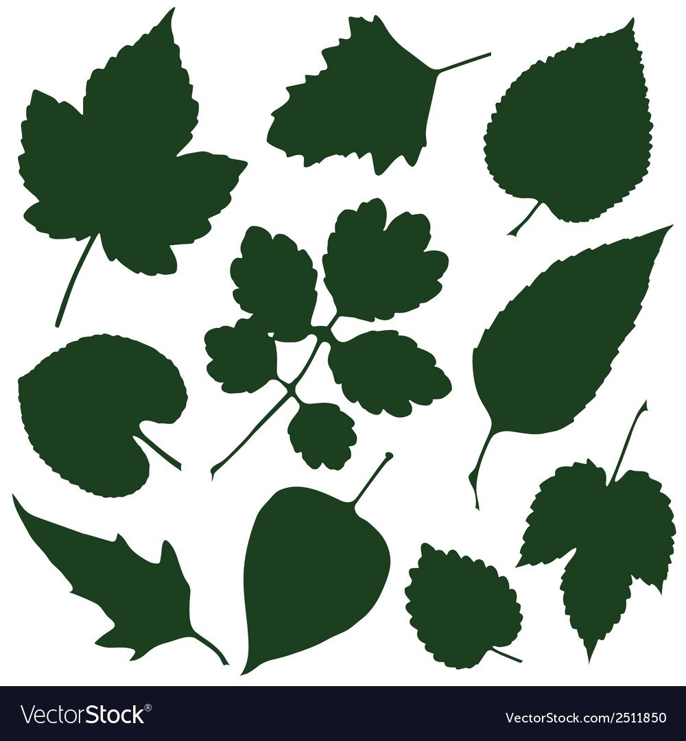 Трафареты "листья"