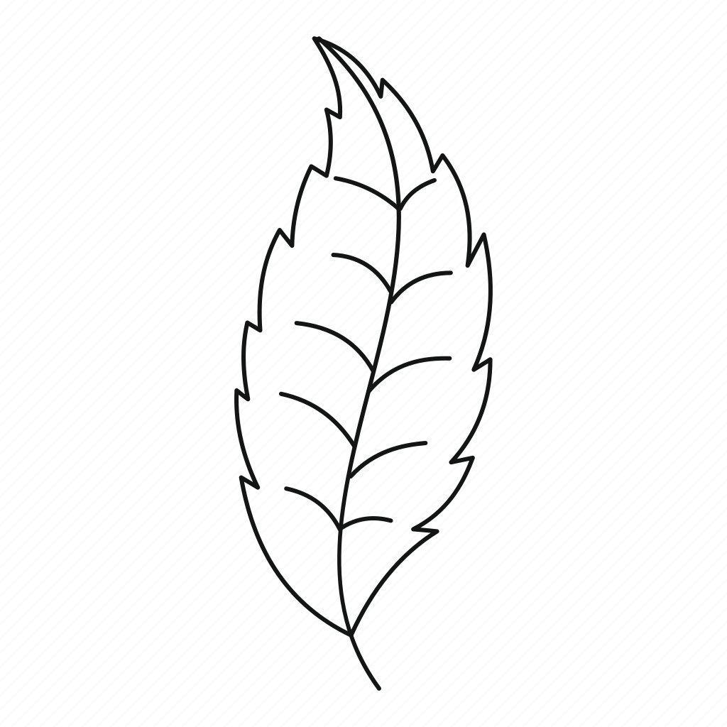 Лист березы силуэт