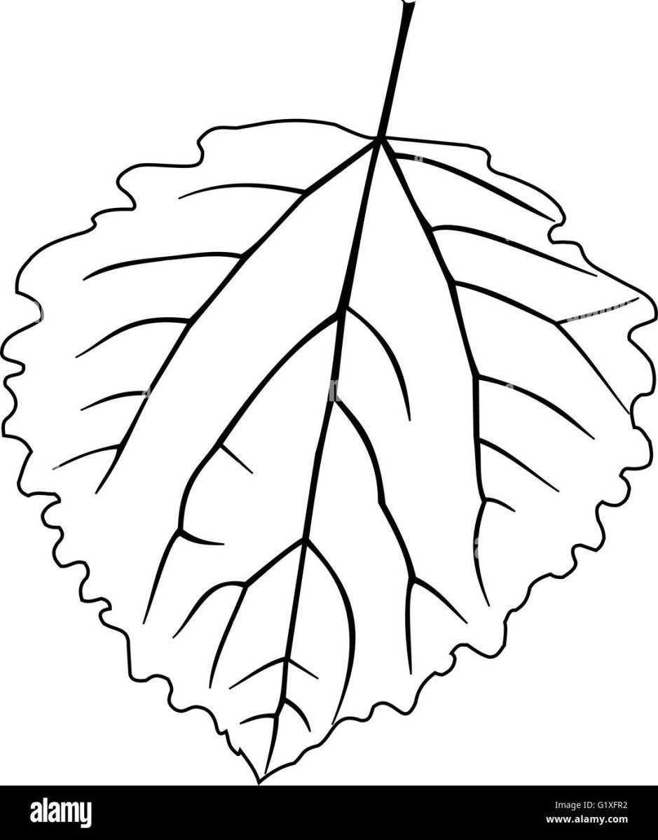 Листья контур
