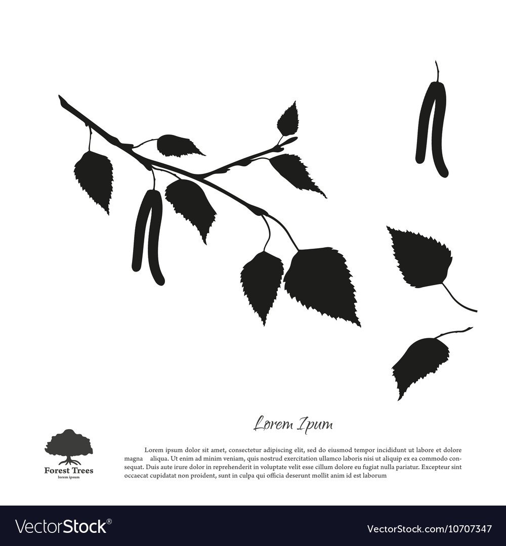 Симметричное вырезание осенних листьев