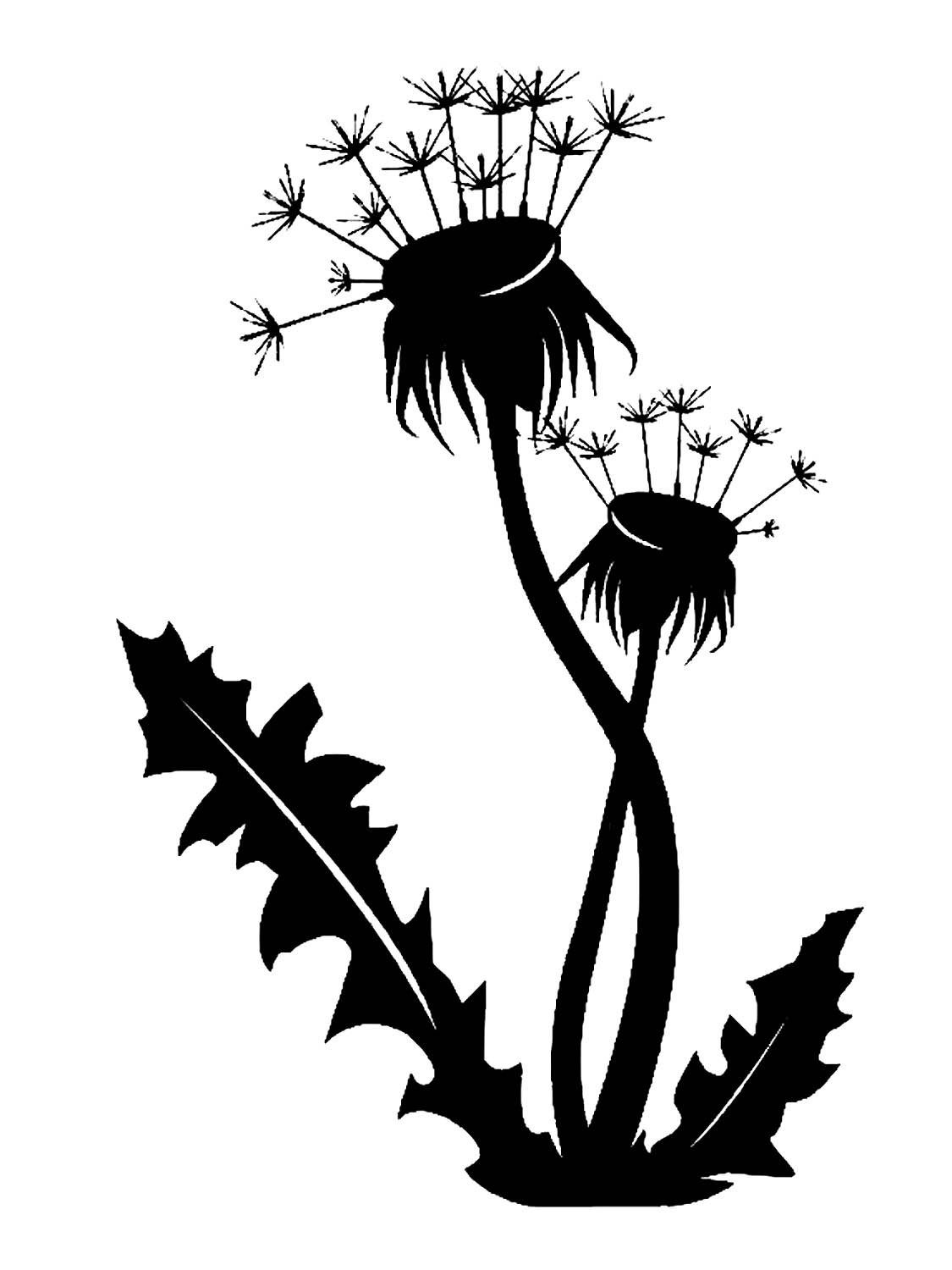 Одуванчик силуэт