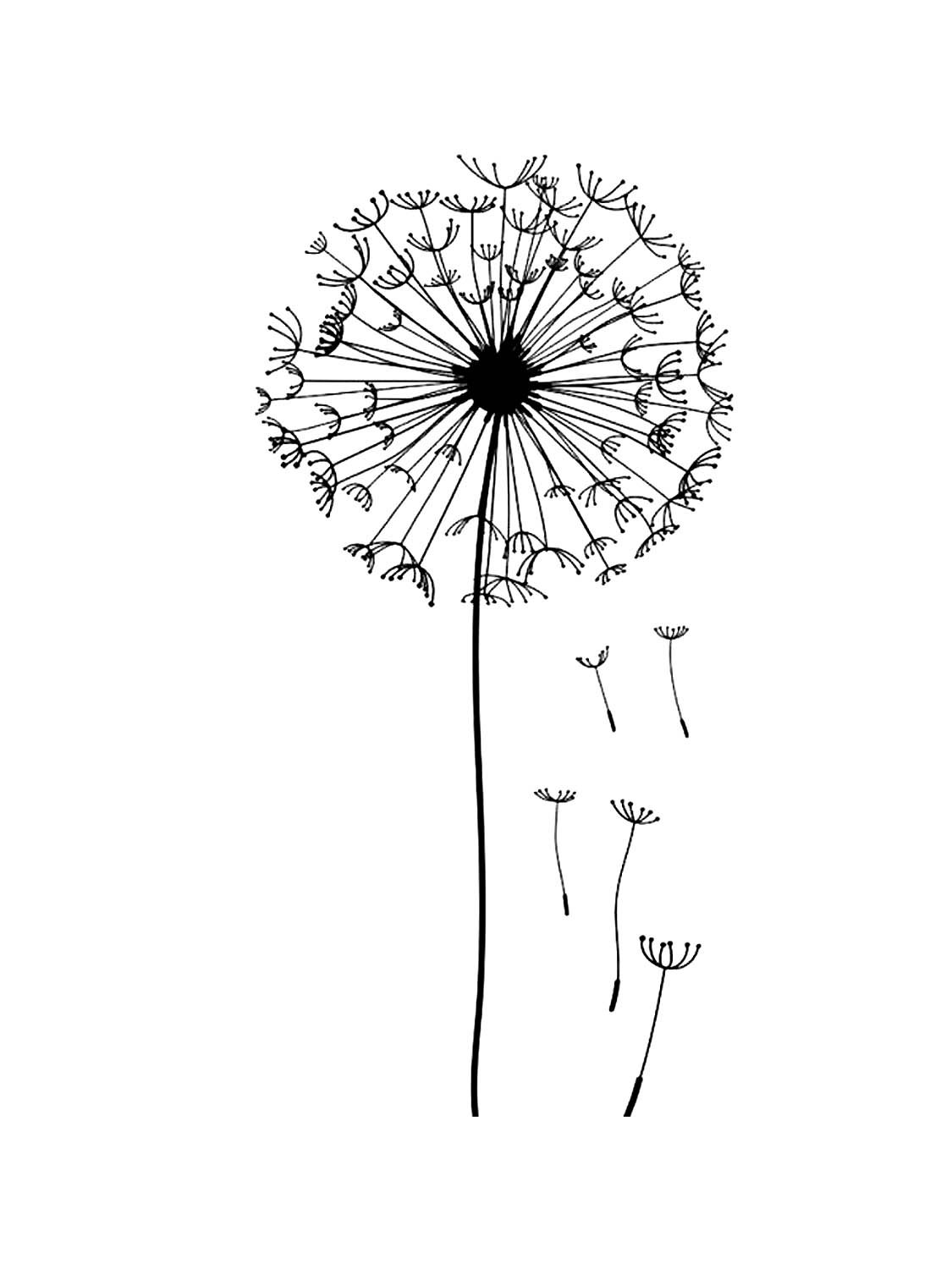 Одуванчик схематично