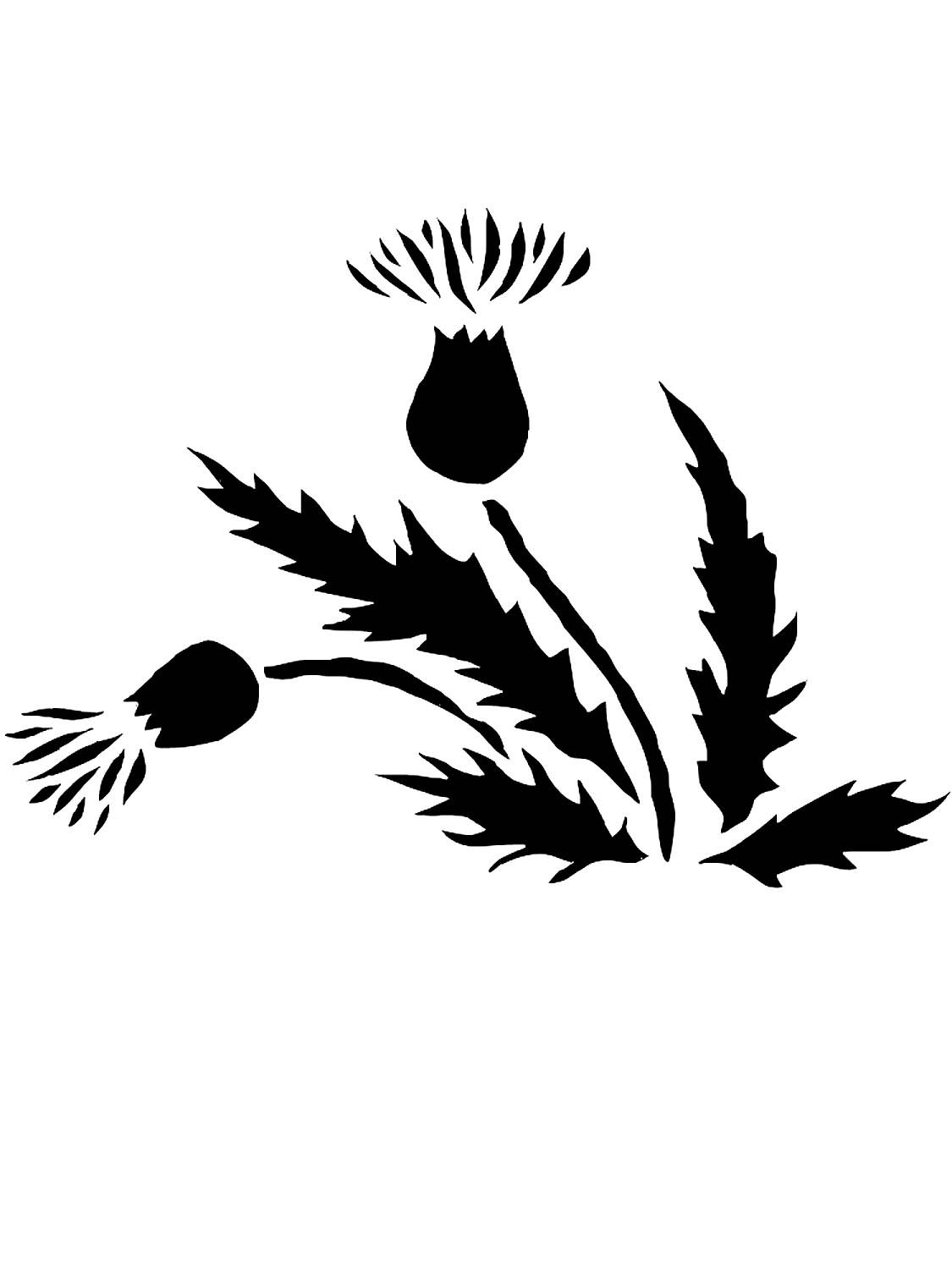 Одуванчик трафарет