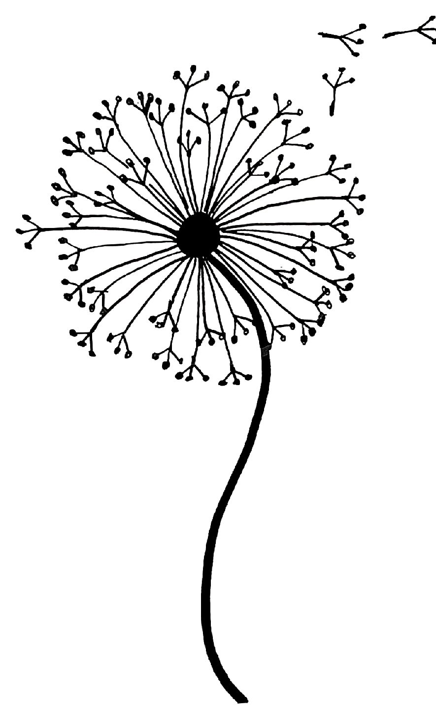 Одуванчик трафарет