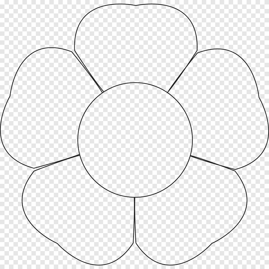 Цветы контур