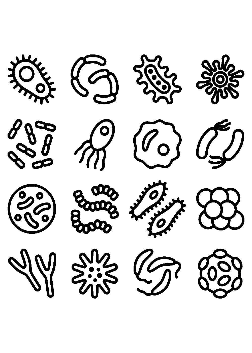 Бактерии раскраска