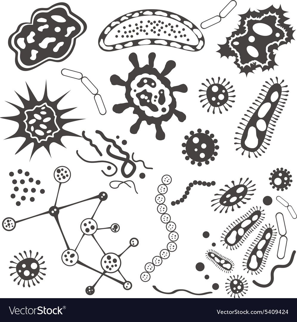 Бактерии вирусы зарисовка