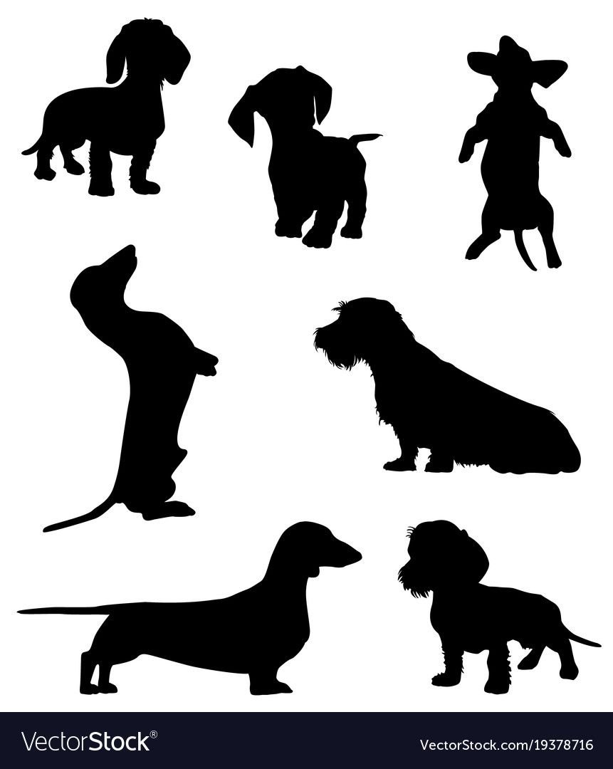 Силуэт собаки на задних лапах