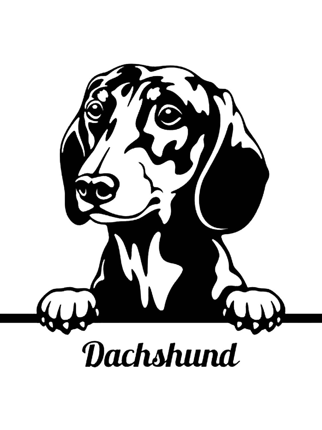 Такса для плоттера