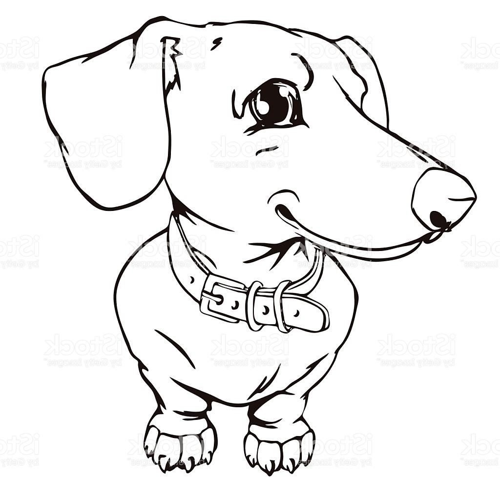 Раскраска такса