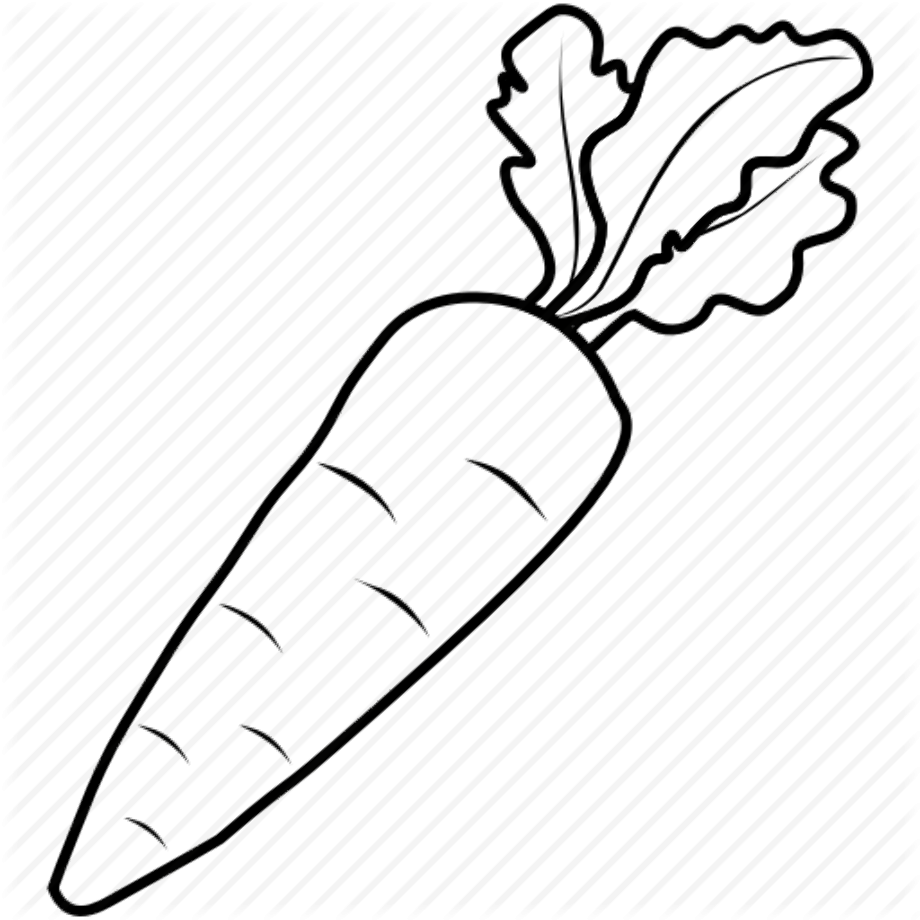 Набросок морковки