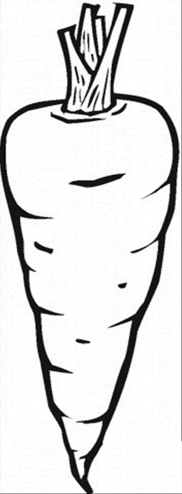 Раздаточный материал морковки