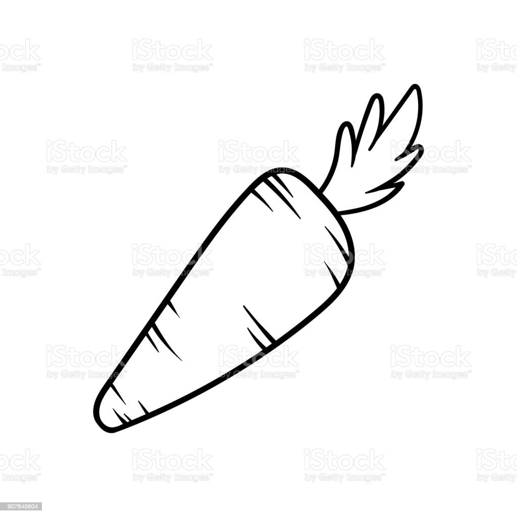 Морковь раскраска