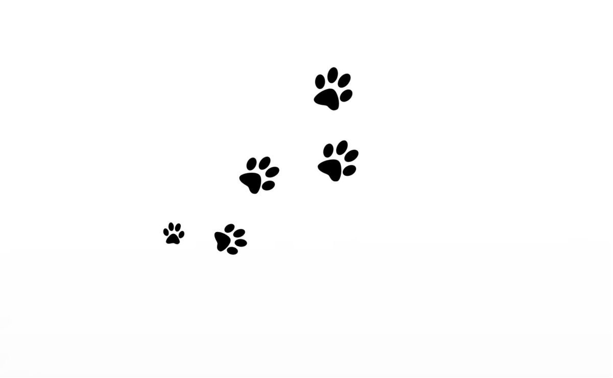 Тату кошачьи лапки эскиз