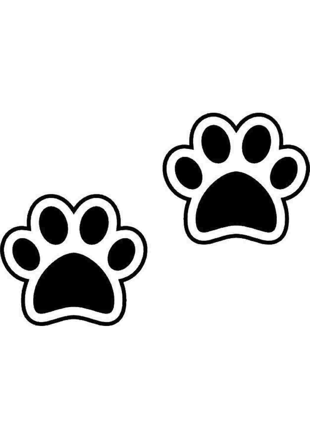 Лапка собак мульт