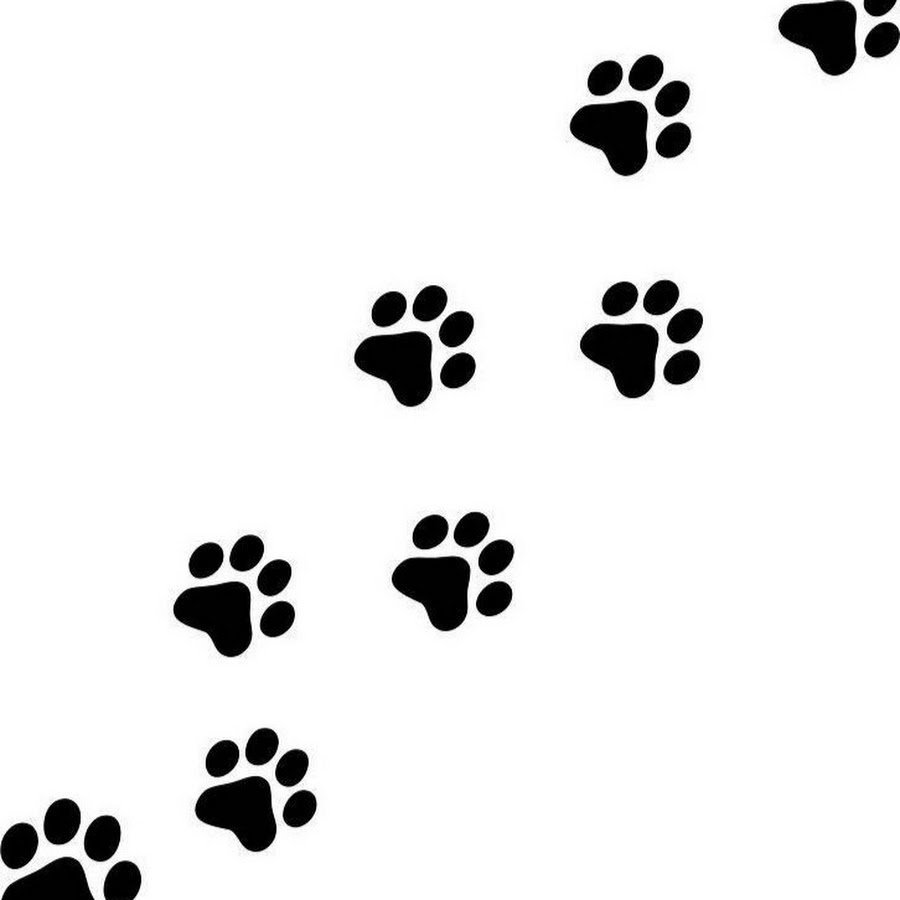 Отпечаток лапки котенка