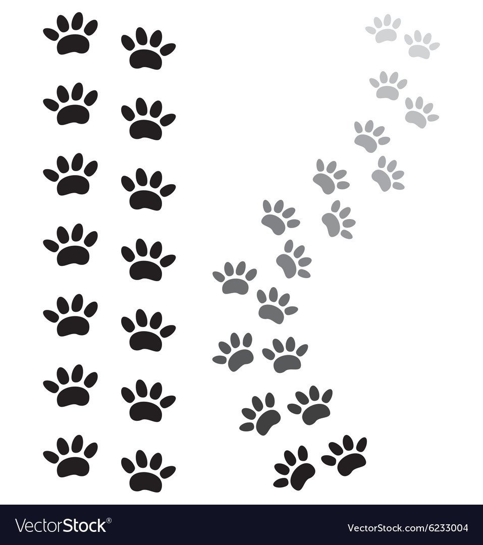 Лапки животных