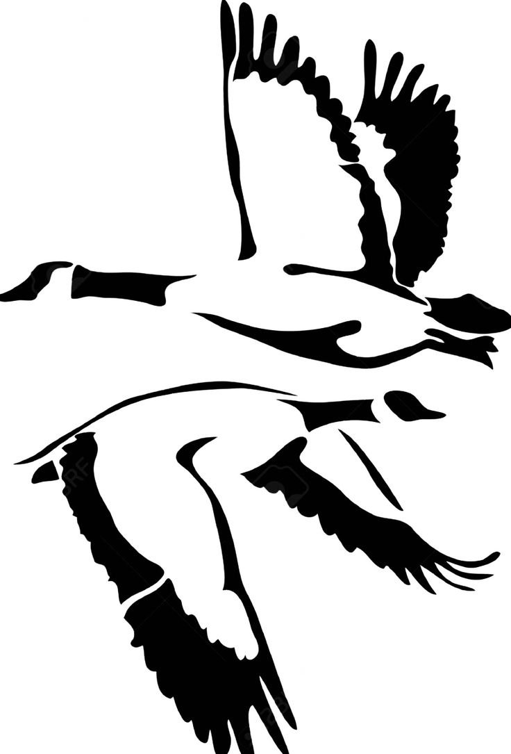 Лебедь вектор