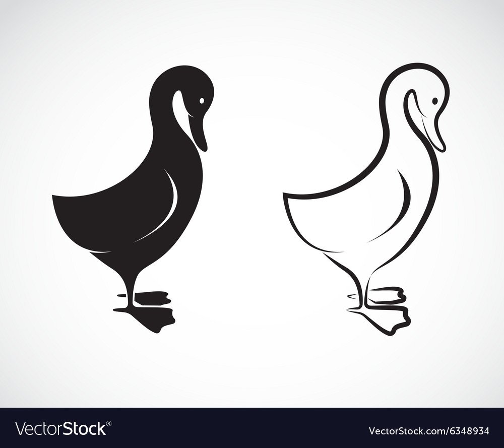 Гусь раскраска для малышей