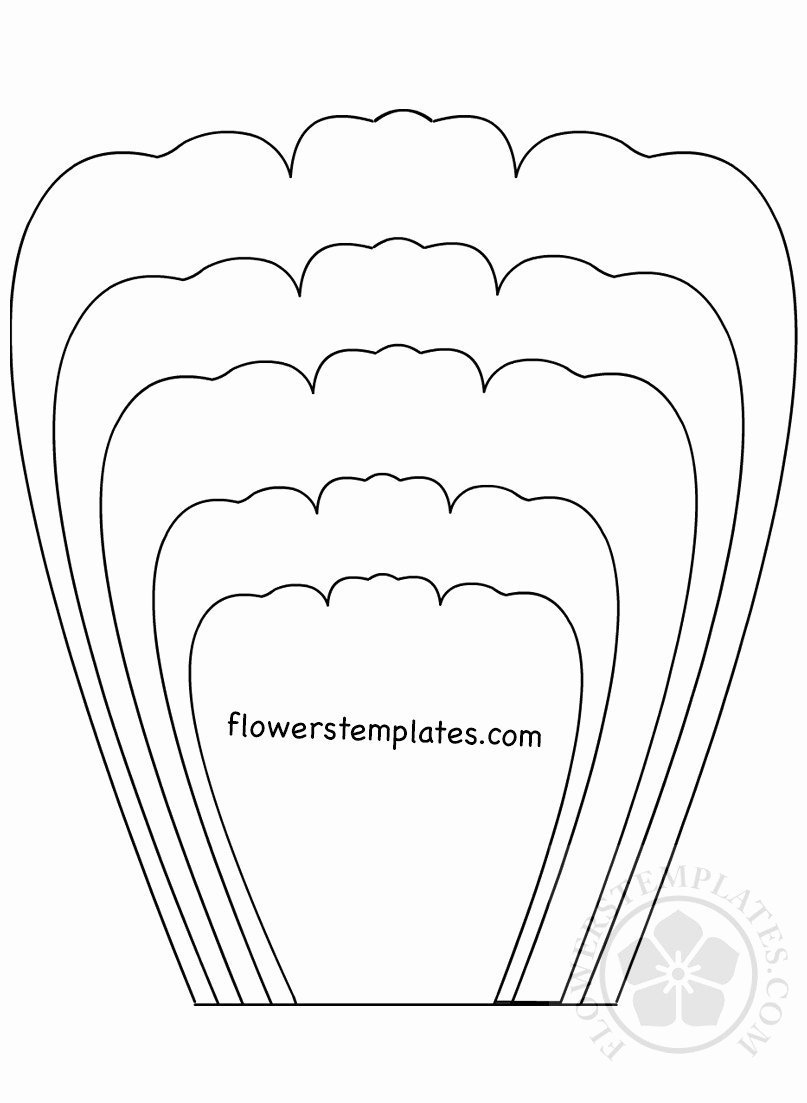 Трафареты для больших бумажных цветов